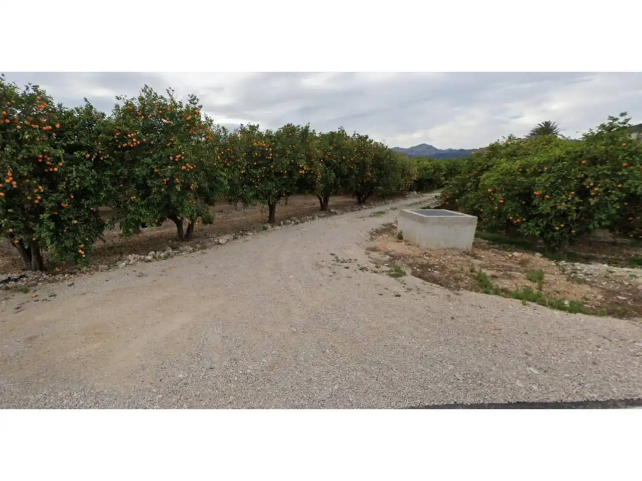House with garden for sale in Camino Bancalons, imagen 6