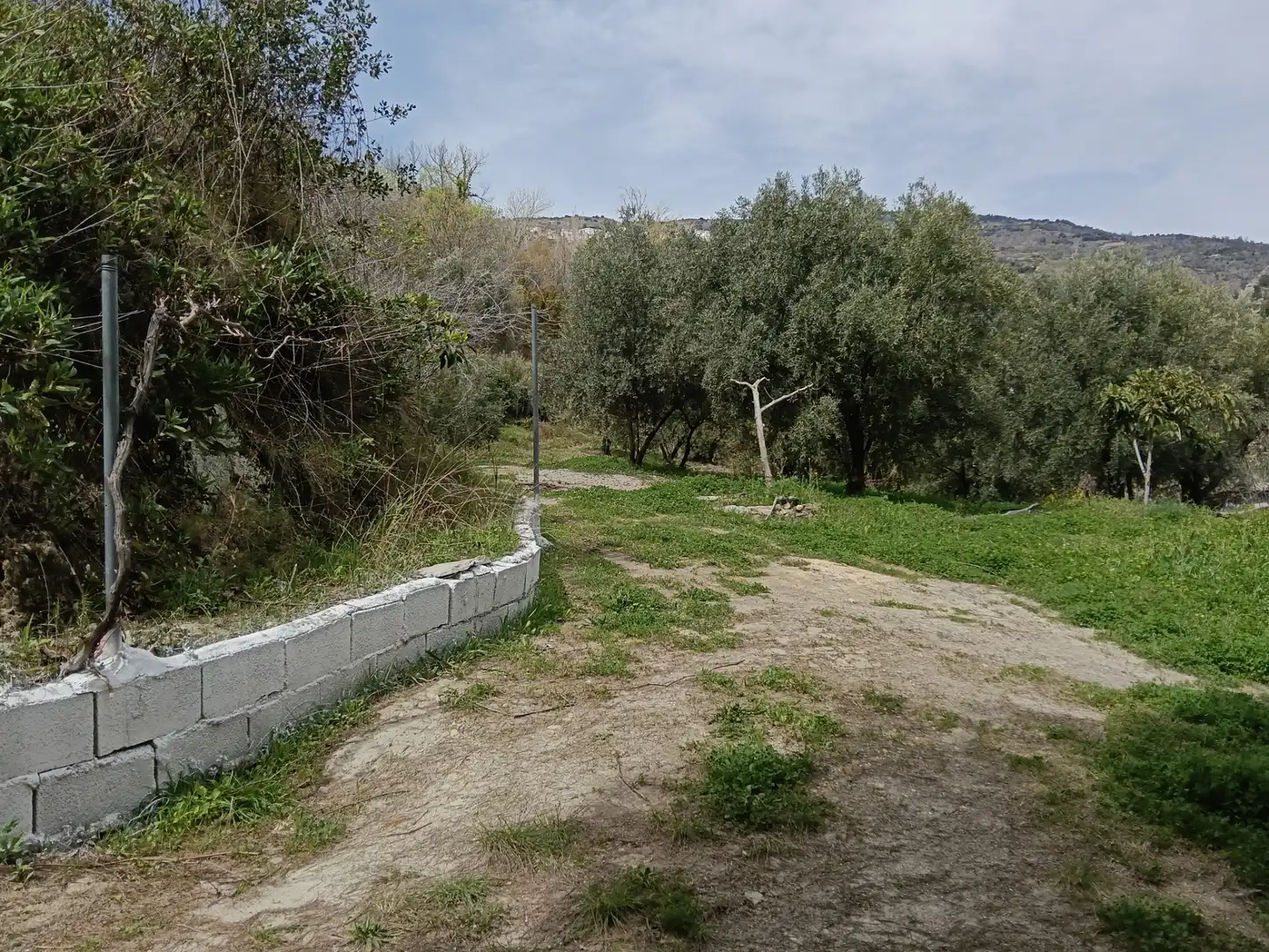Terreni e lotti in vendita a Alpujarra de la Sierra, imagen 3