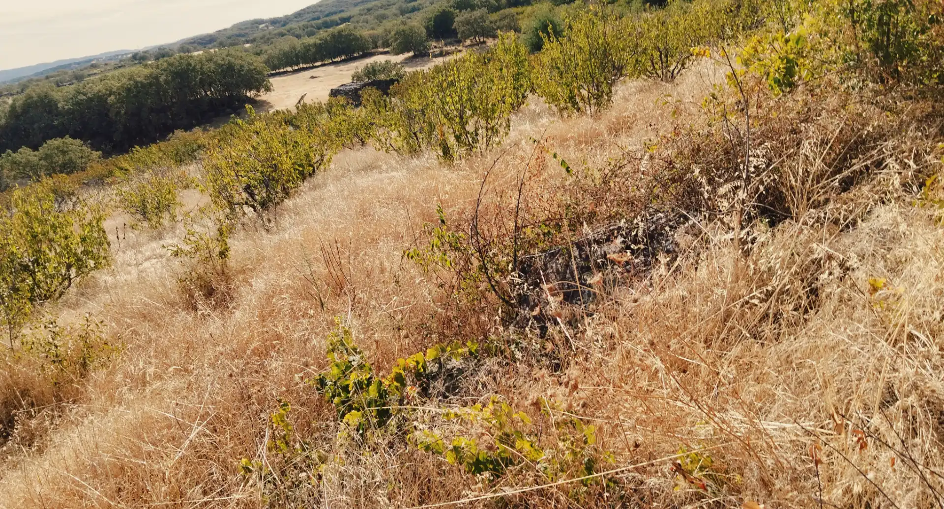 Terrain rustique à vendre à Avenida Extremadura 72, imagen 9