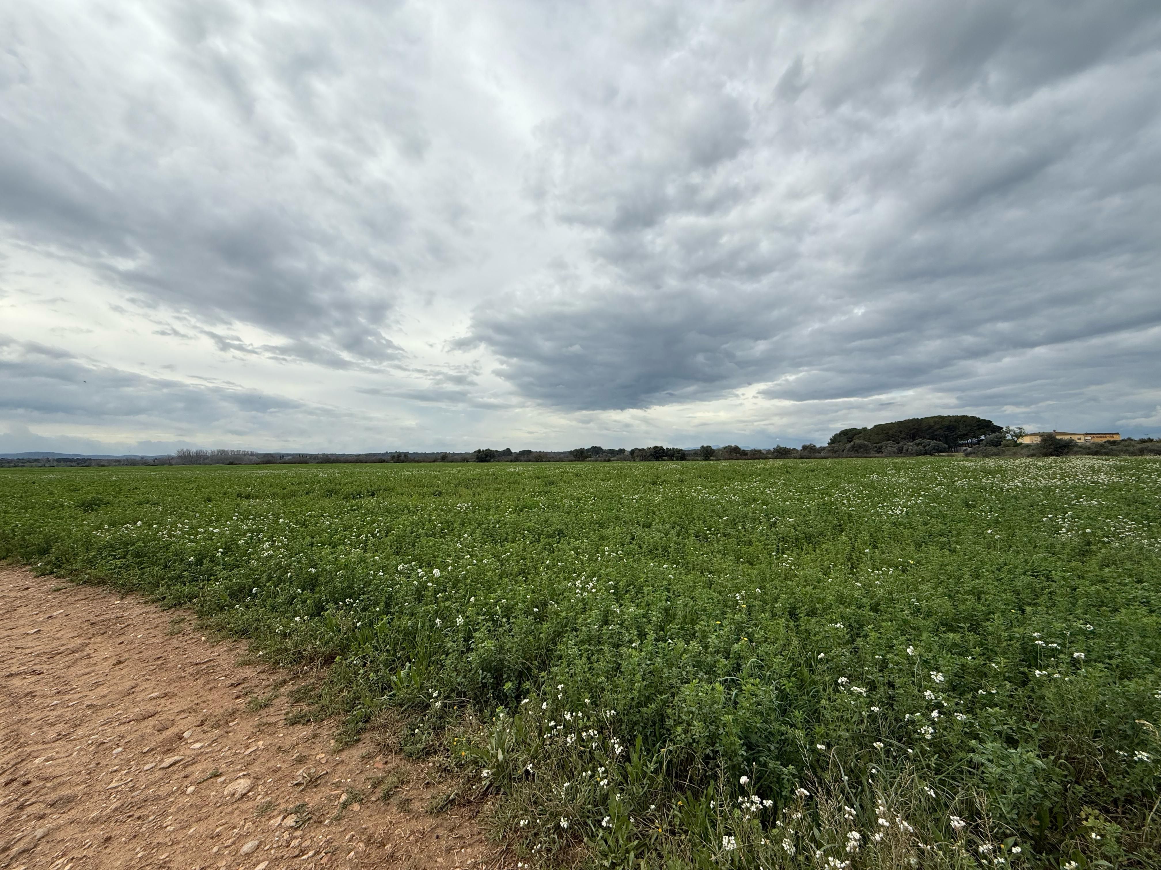 Land for sale in Siurana