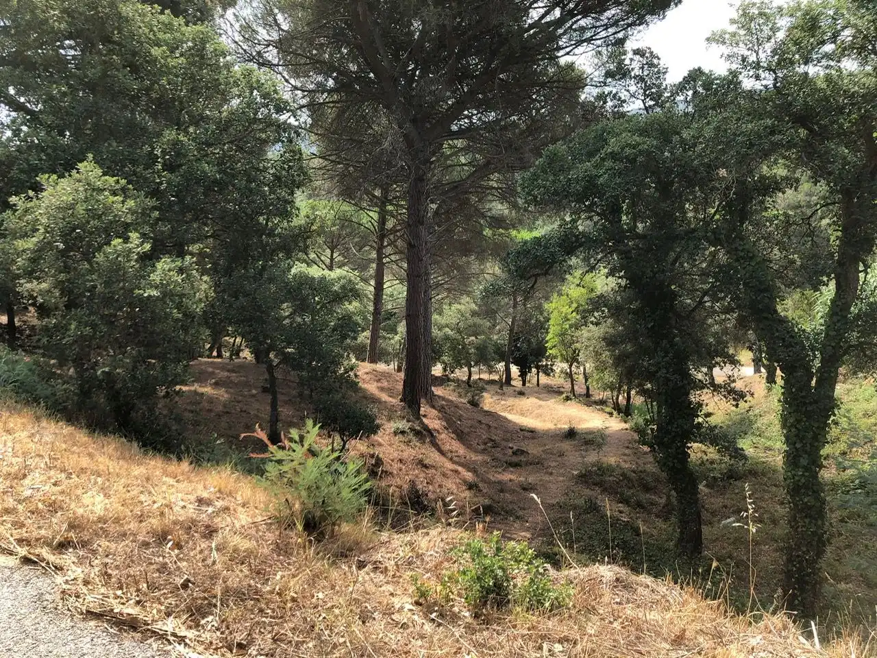 Residencial en venta en Carrer Muntanya, Niàgara Parc - Ágora Parc