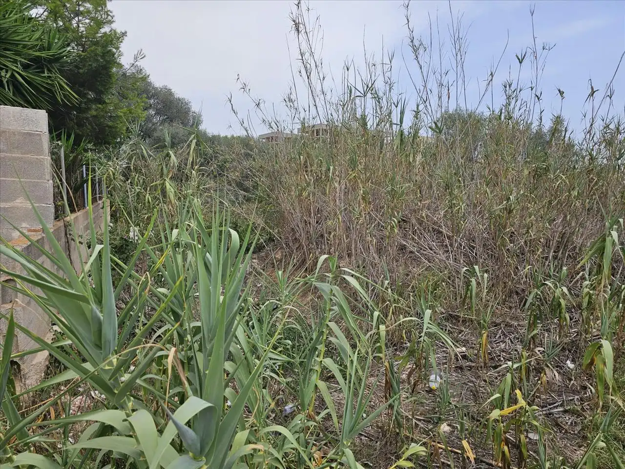 Terreno residenziale in vendita a PL Polígono 56, imagen 12