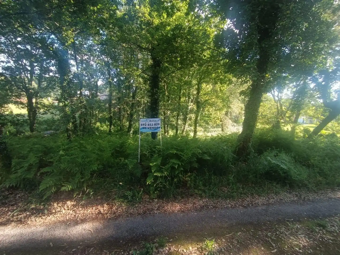 Terreno en venta en Tomiño