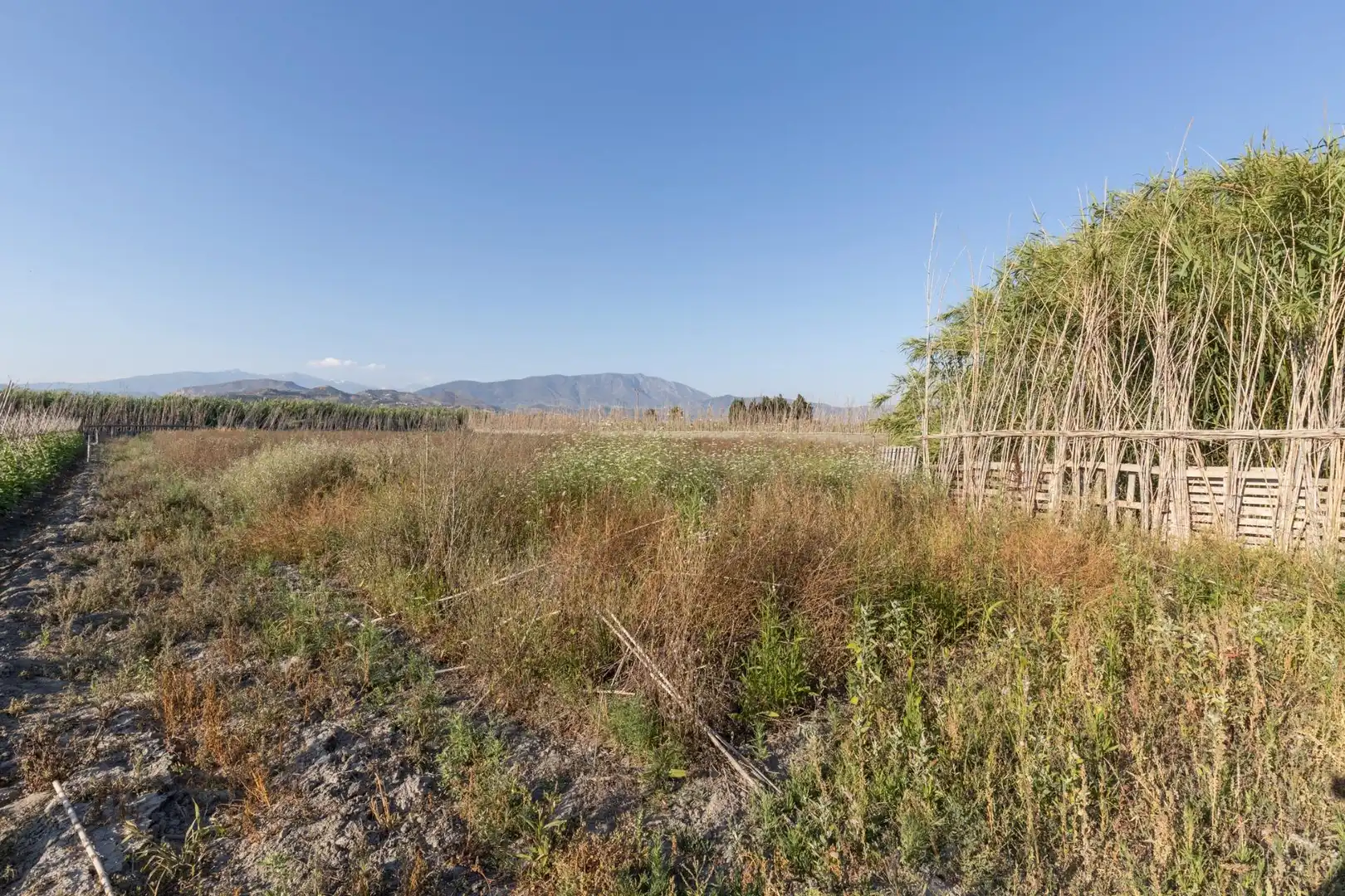 Terreny residencial en venda a Calle Sus Pla 1, imagen 9