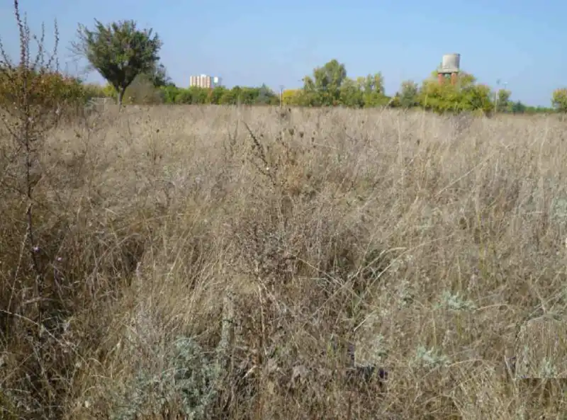 Residencial en venta en 5, PARCELA, El Ejido - Santa Ana