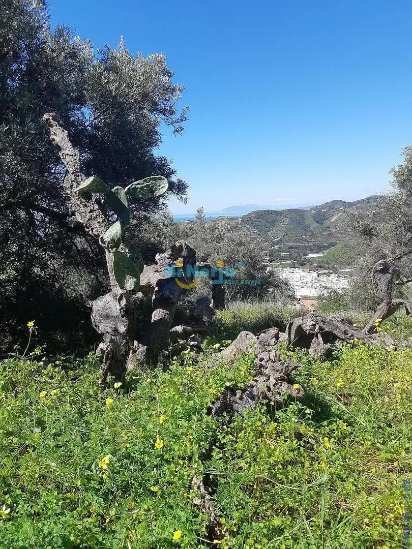 Terreni e lotti in vendita a Torrox Pueblo, imagen 16