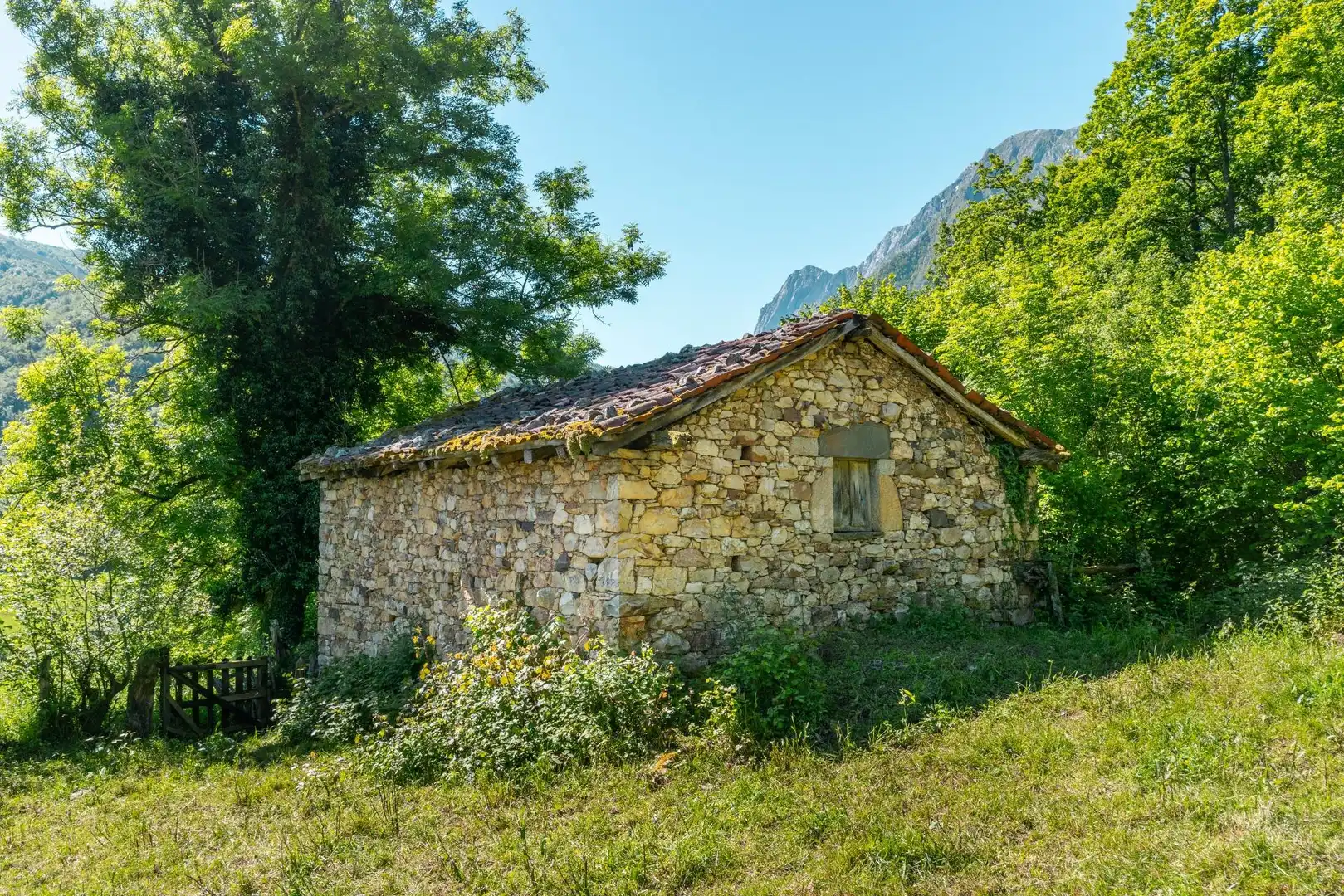Casa in vendita a Carretera de Ricabo