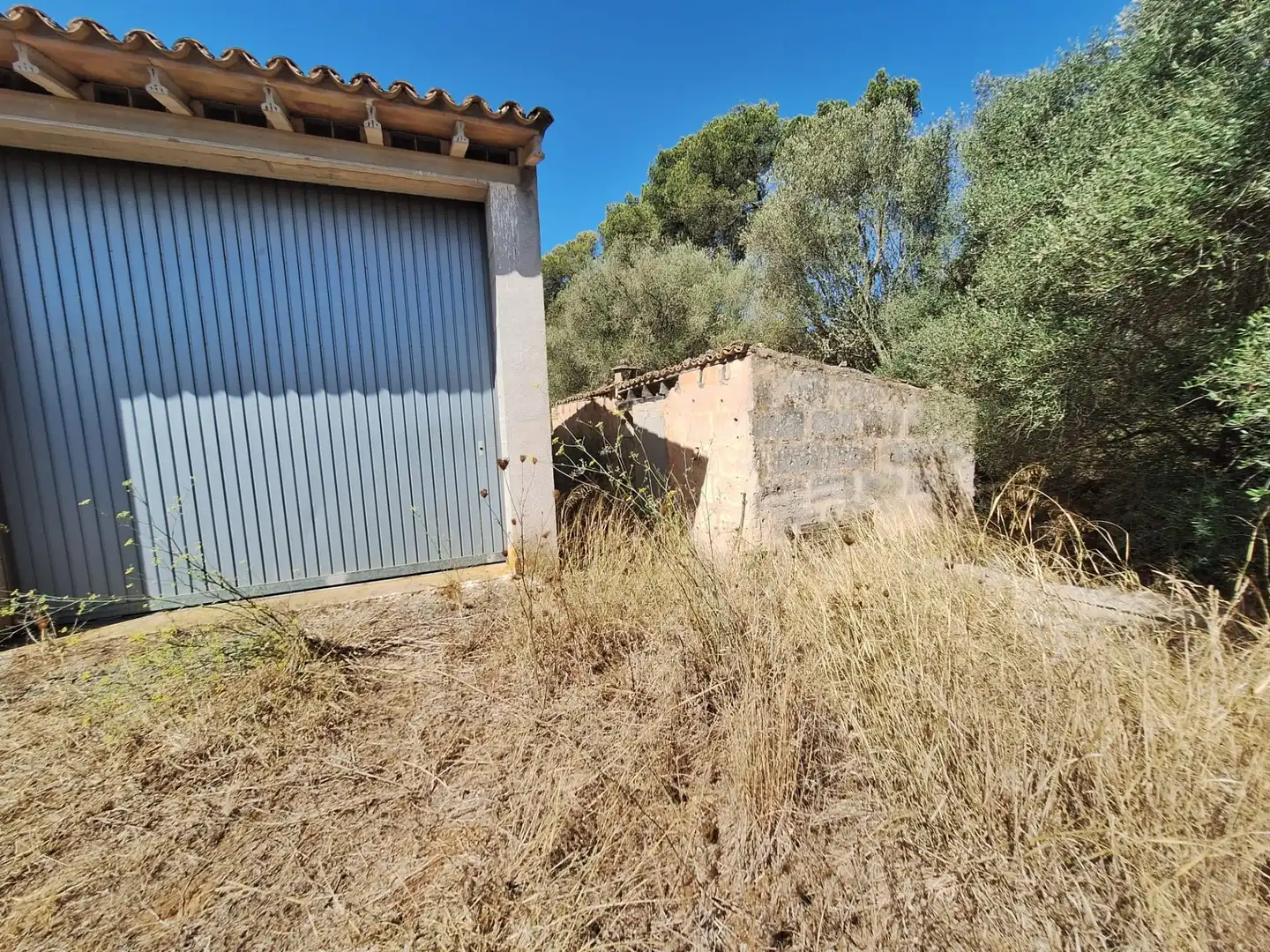 Terreno rustico in vendita a Algaida, imagen 18