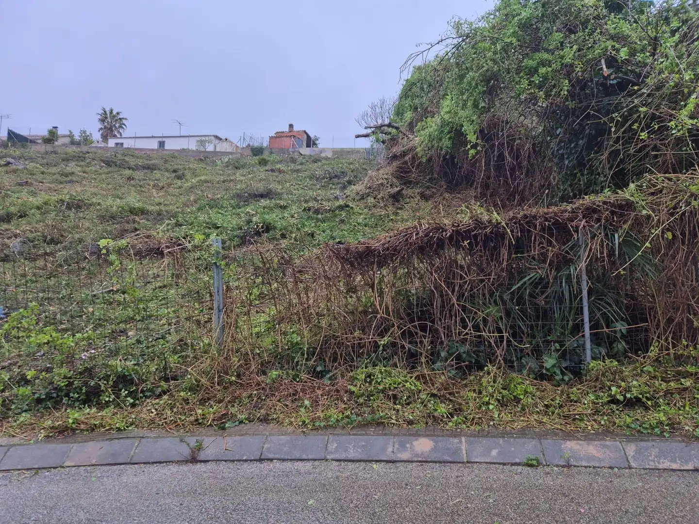 Terrenys i solars en venda a Olesa de Bonesvalls, imagen 2