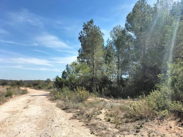 Terreno en Venta en Navarrés