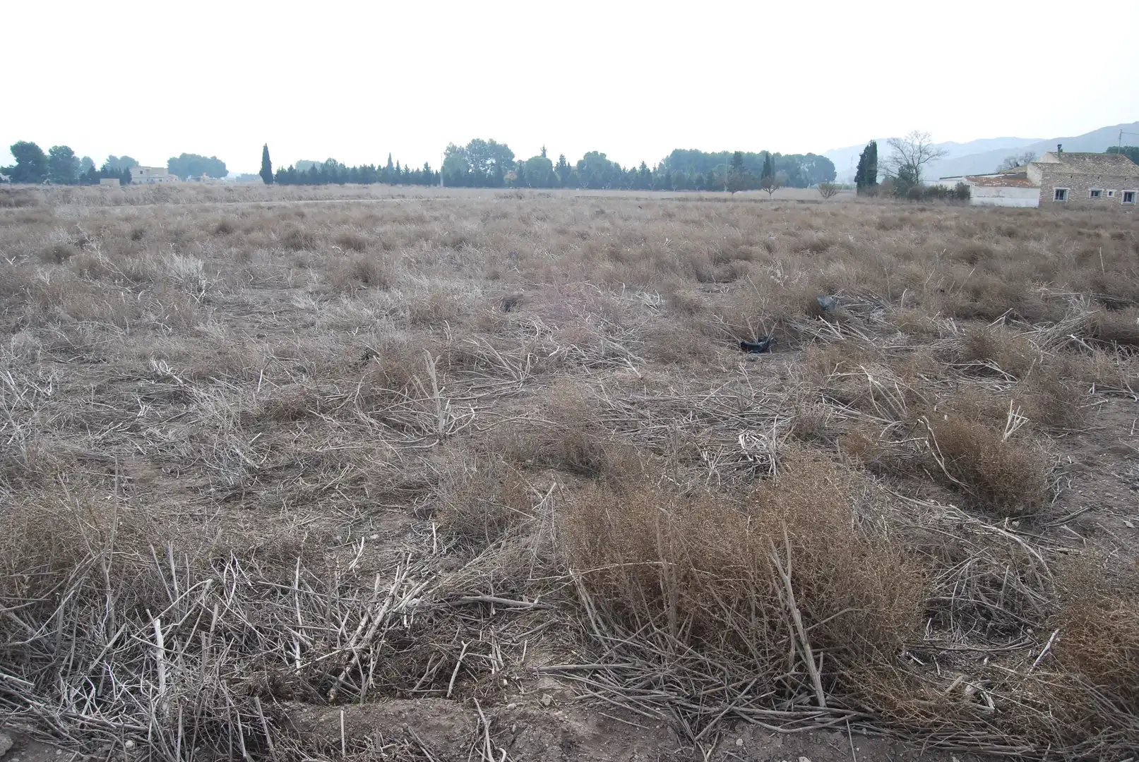 Rural land for sale in El Carril - Paseo de Chapi, imagen 7