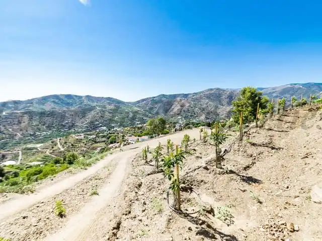 Terreni e lotti in vendita a Torrox Pueblo, imagen 4