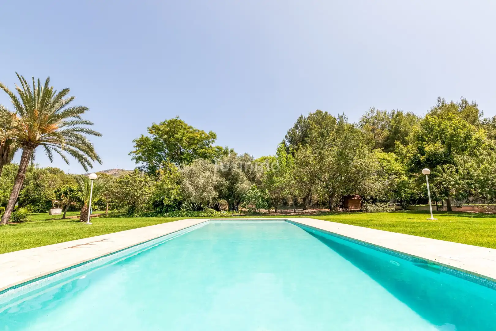 Jardín de Casa o chalet de alquiler en Rincón de Loix