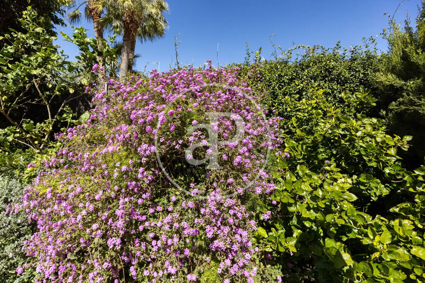 Garden of Houses for sale in Premià de Mar  with Air Conditioner, Heating and Private garden