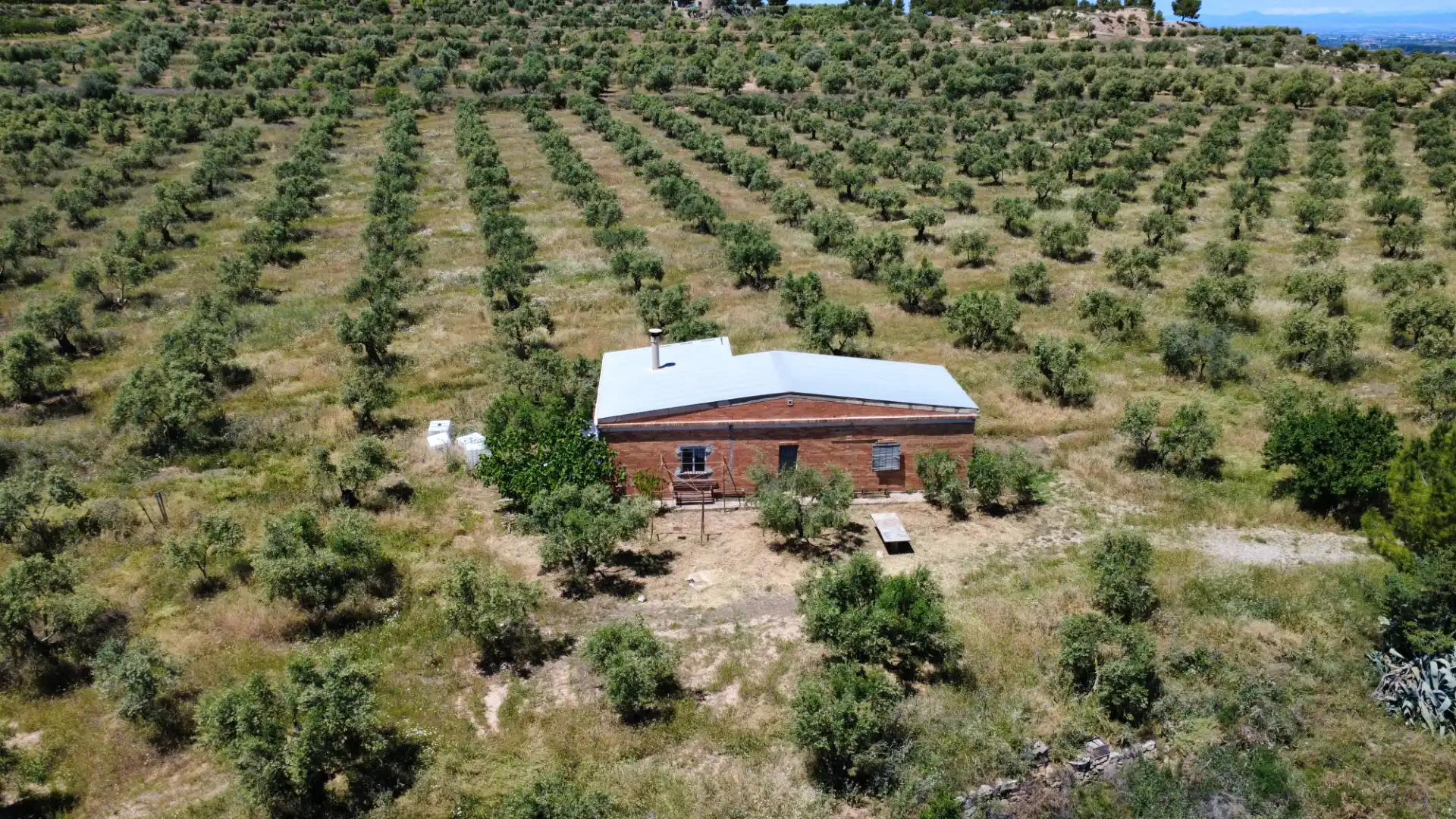 Terreny en venda en Les Borges Blanques