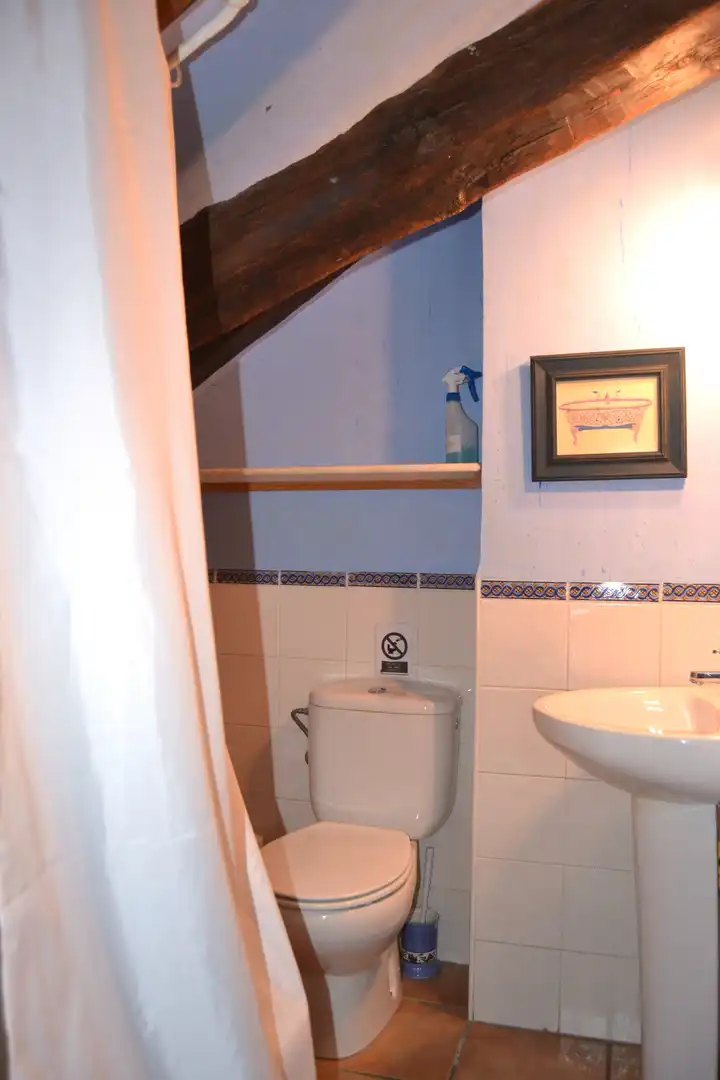 Baño de Casa o chalet en venta en Borau con Calefacción, Parquet y Trastero