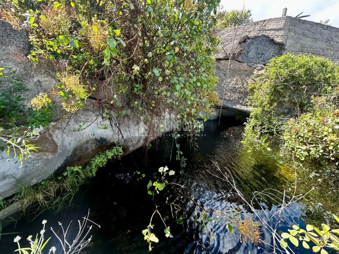 Vista exterior de Finca rústica en venta en Güímar con Trastero y Balcón