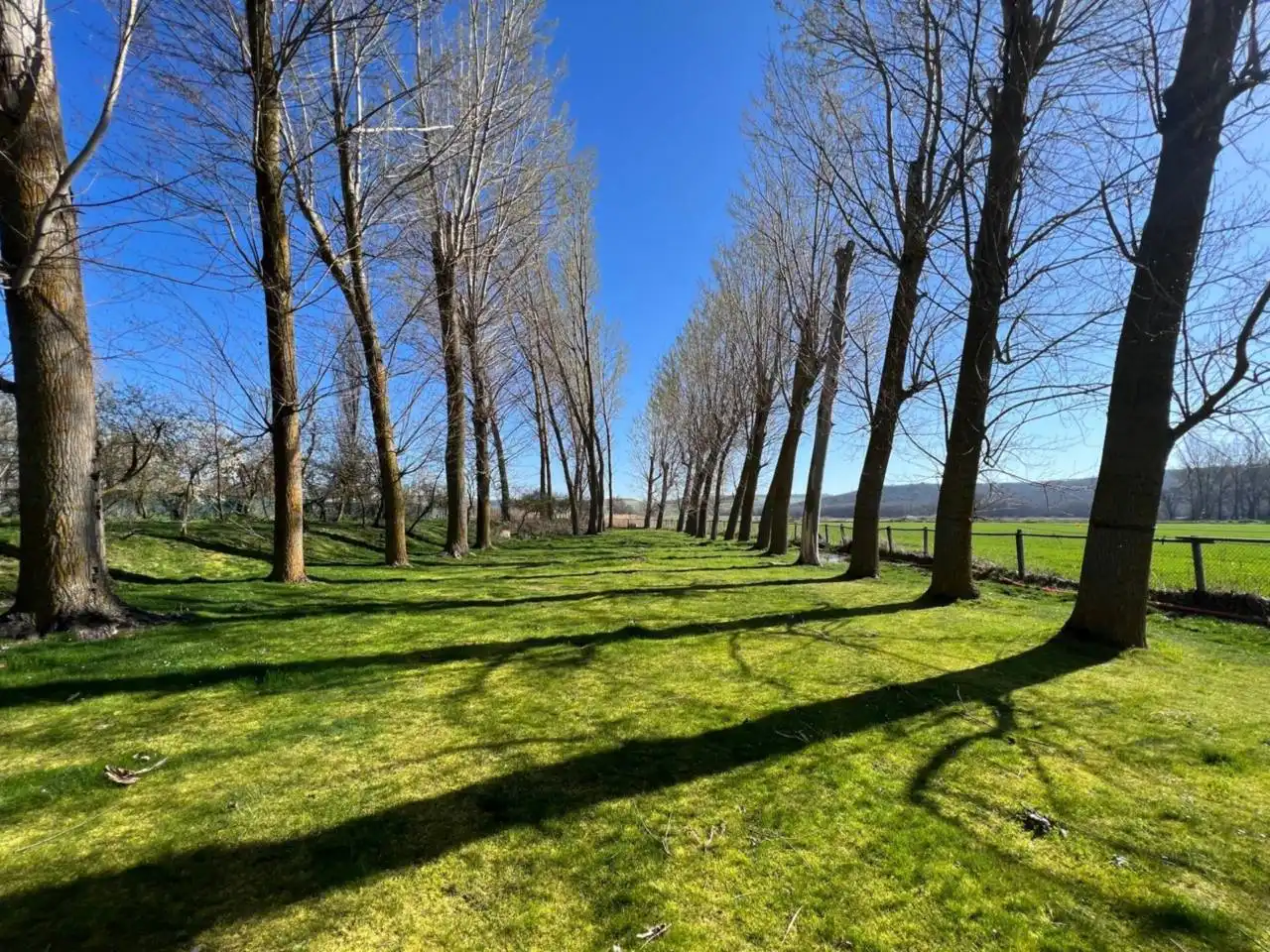Vista exterior de Casa o chalet en venta en Frandovínez