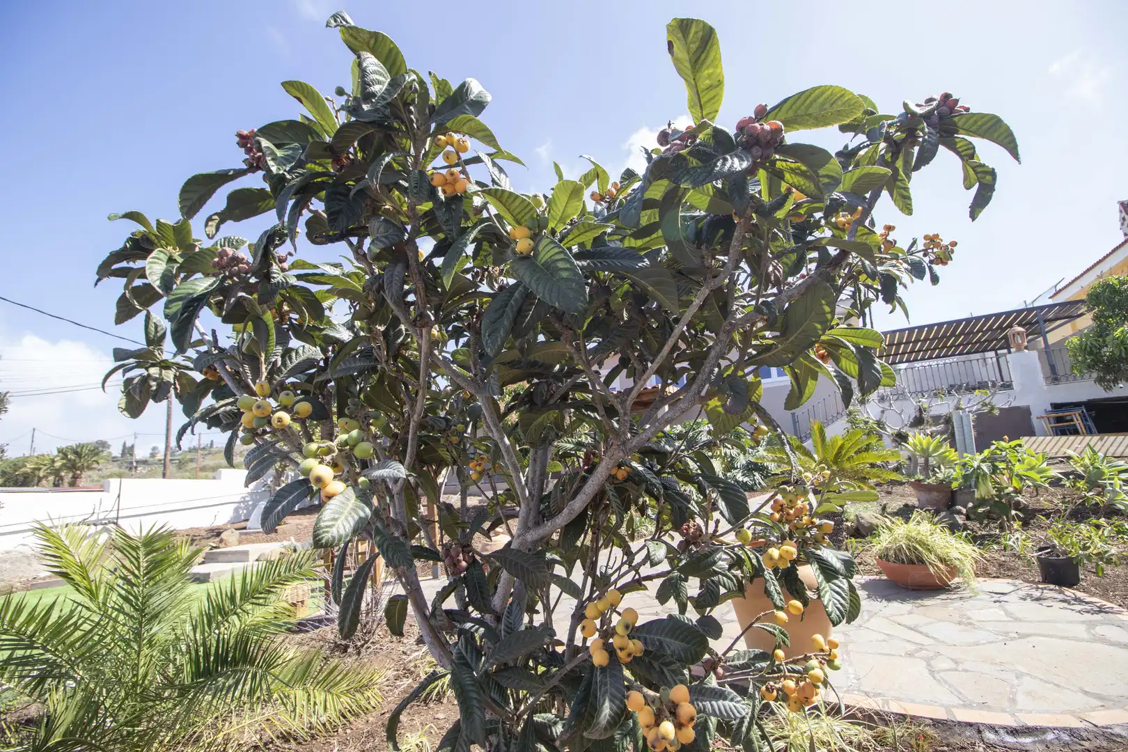 Garden of Houses for rent in Tacoronte  with Air Conditioner, Private garden and Terrace