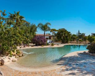 Schwimmbecken von Haus oder Chalet zum verkauf in Turre mit Klimaanlage, Terrasse und Schwimmbad