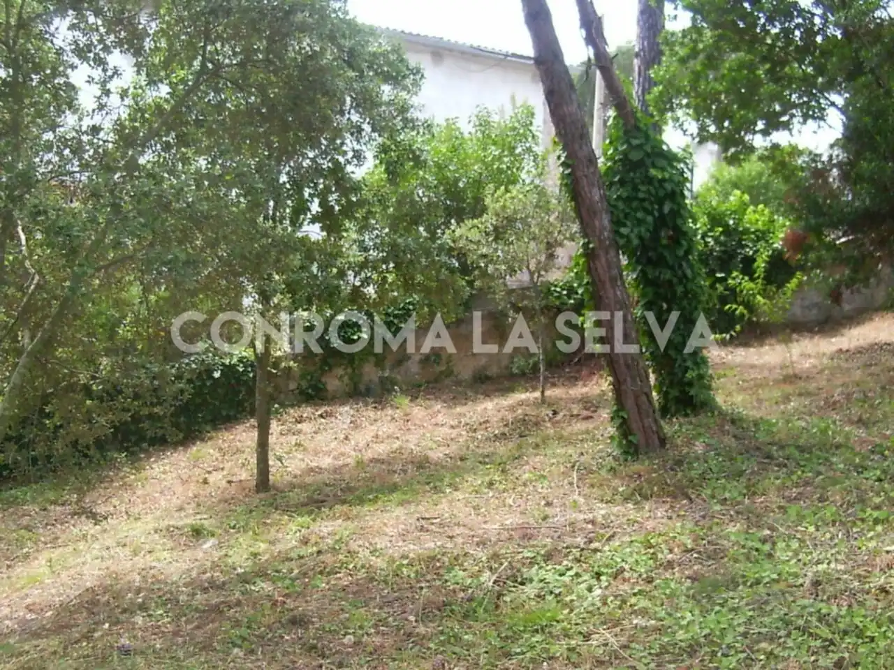 Residential land for sale in Residencial Park, imagen 6