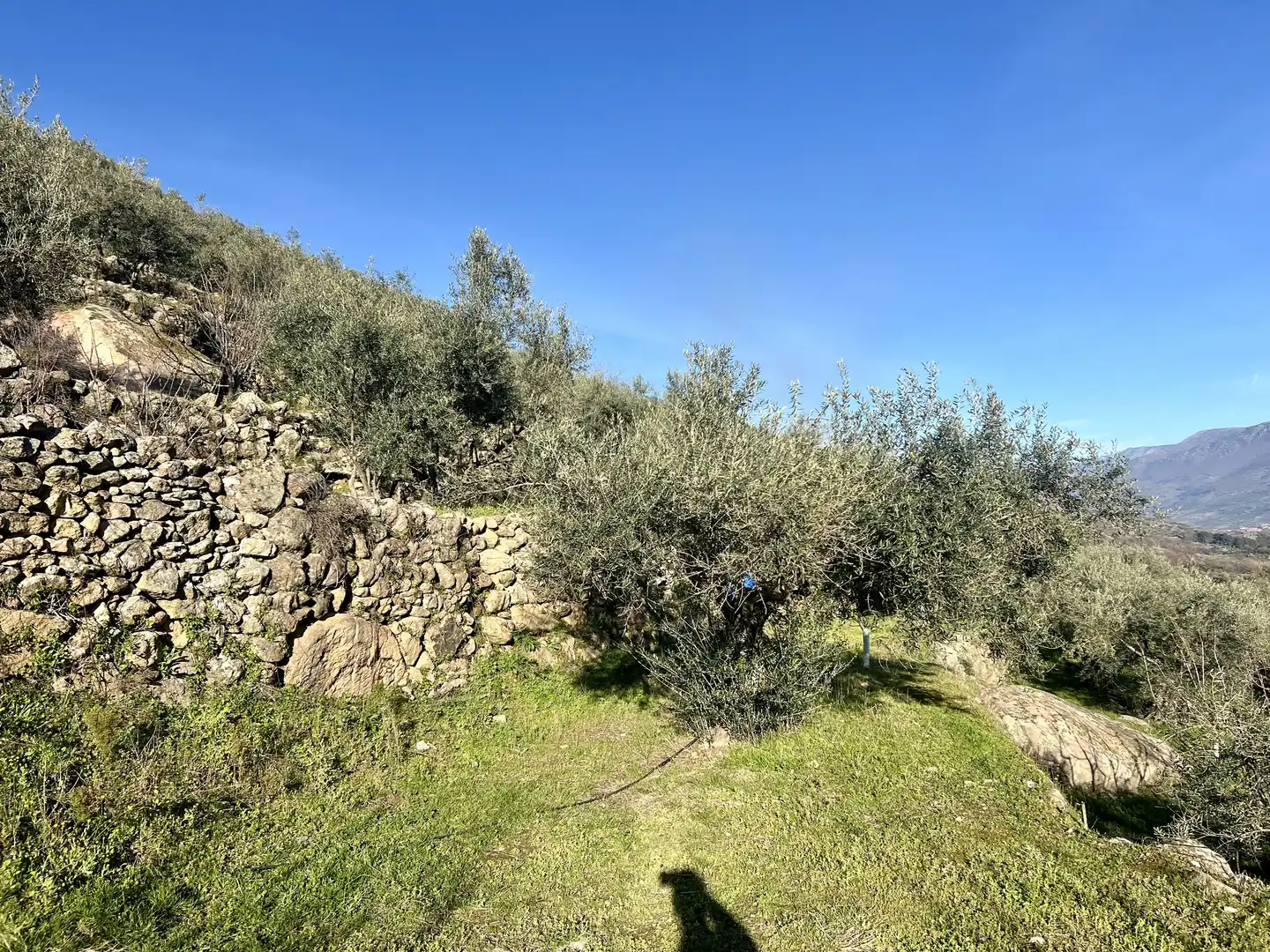 Terreni e lotti in vendita a N/A, imagen 6