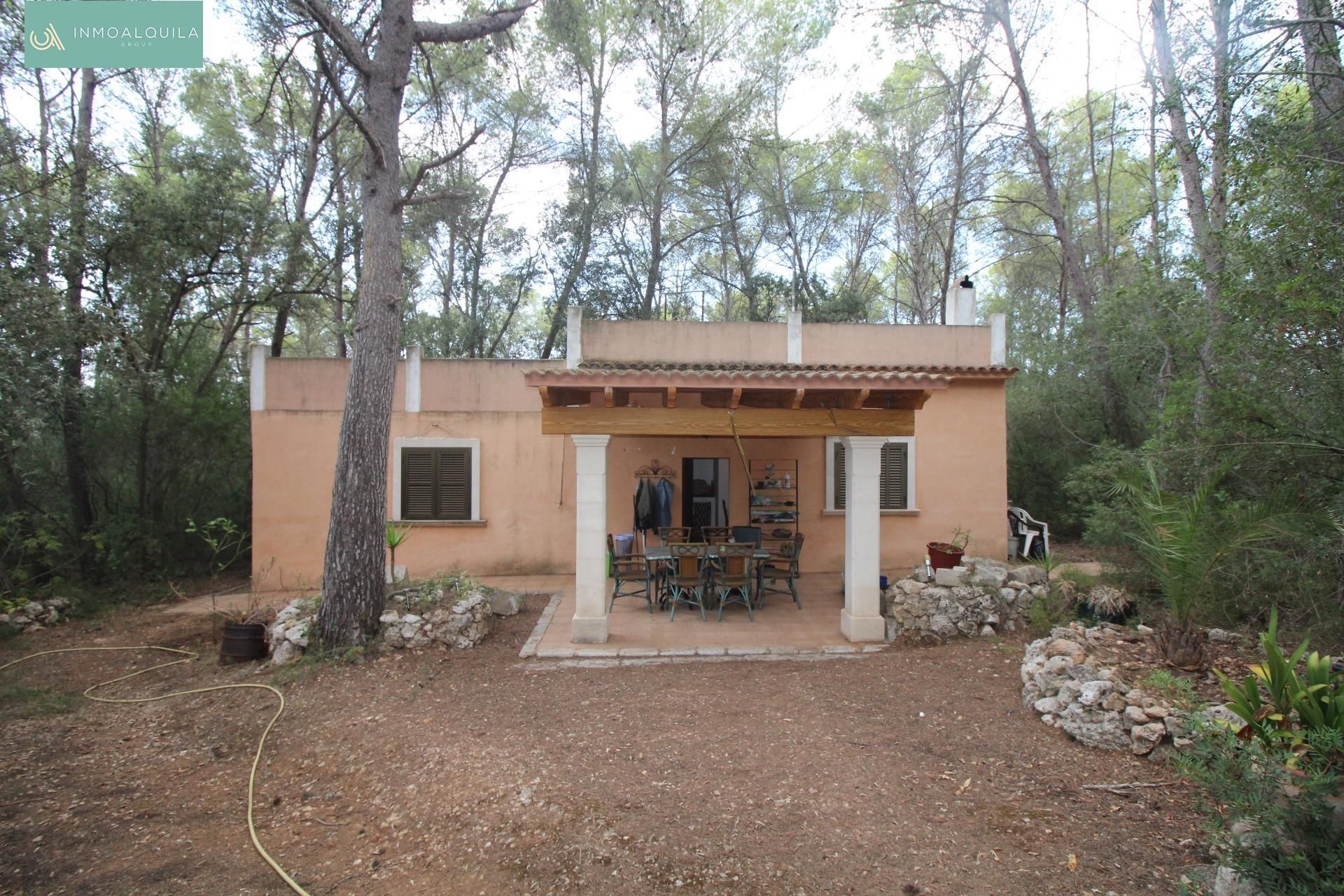 Garden of Country house for sale in Sineu  with Terrace
