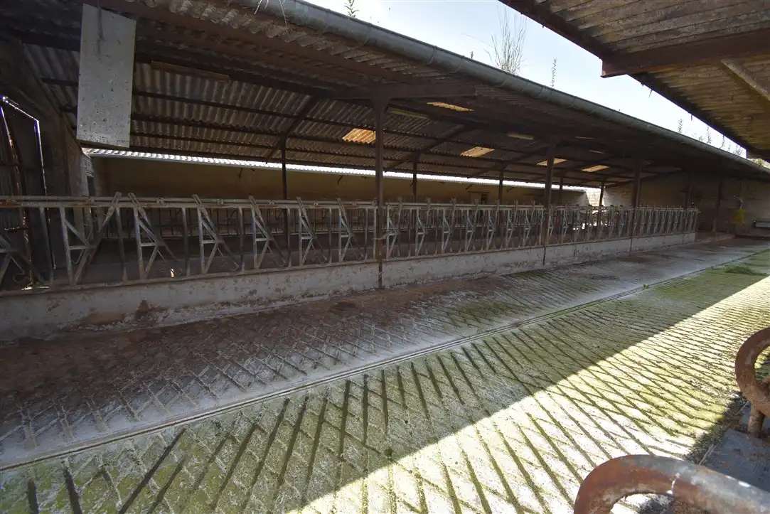 Industrial building for sale in Barrio Solorz, imagen 8