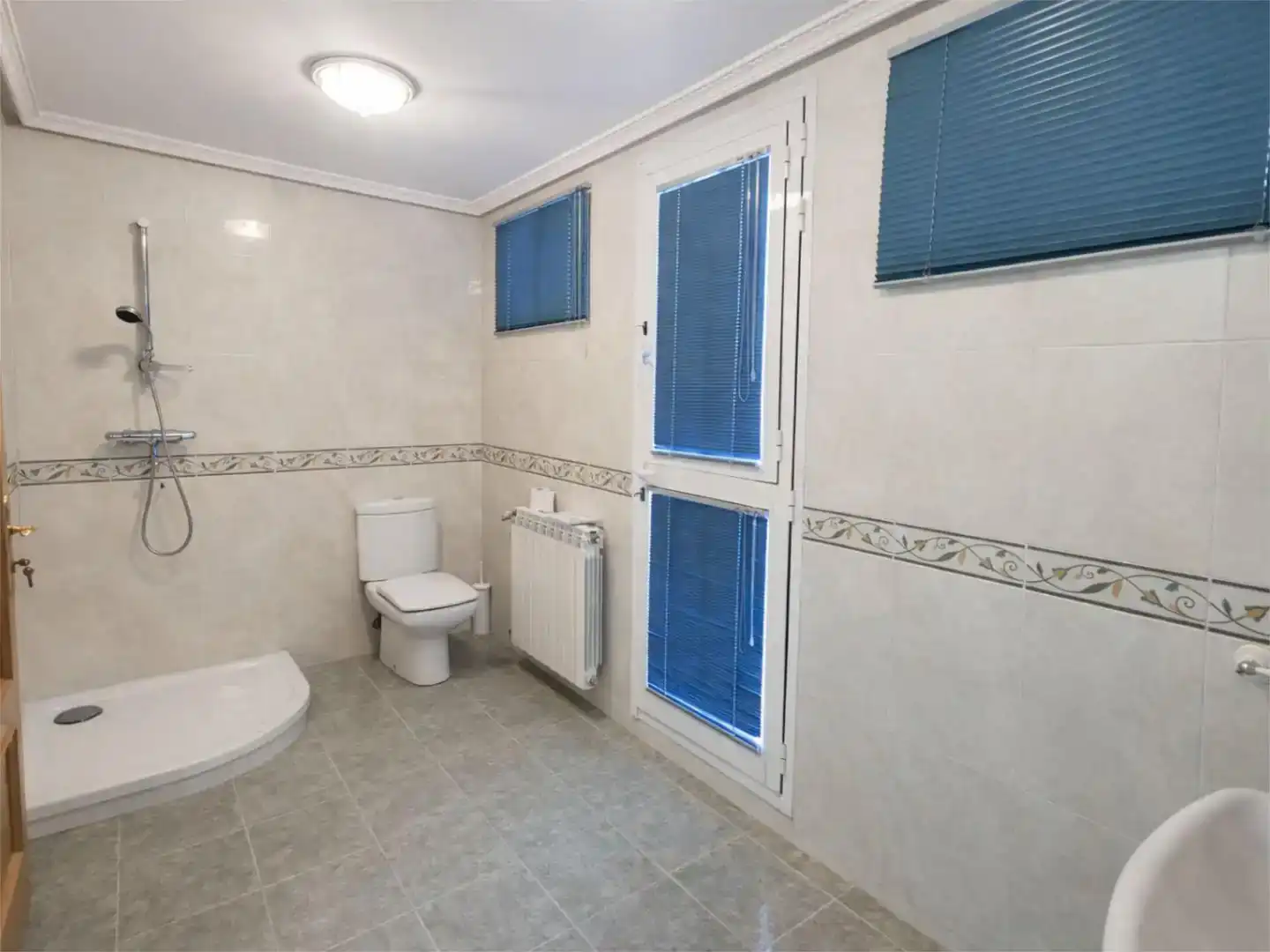 Baño de Casa o chalet en venta en Torrejón de Ardoz con Jardín privado, Trastero y Piscina