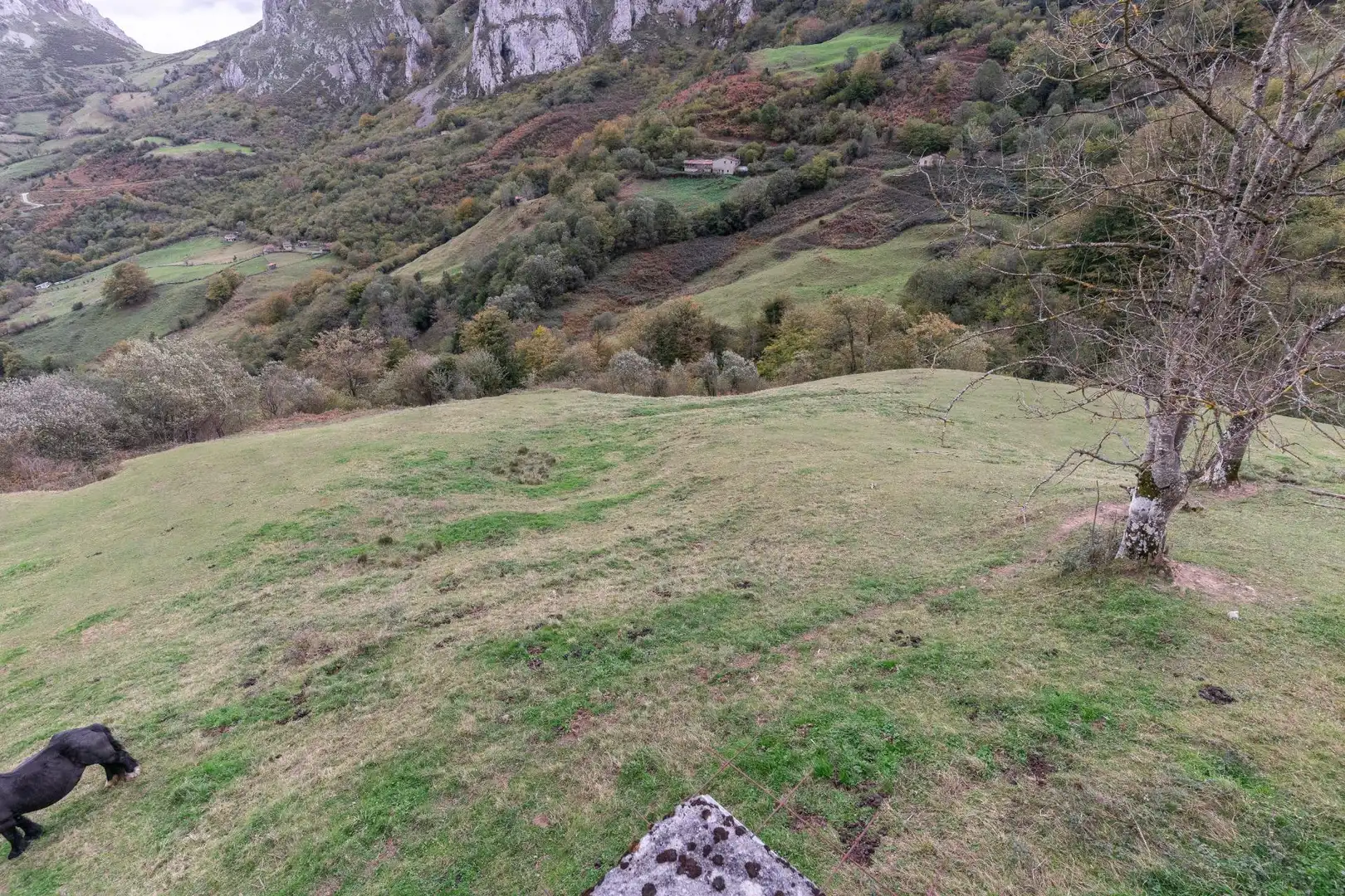 Grundstücke zum Verkauf in Laviana