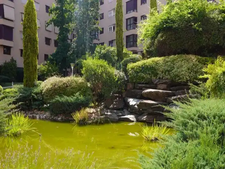 Vista exterior de Ático de alquiler en  Madrid Capital con Aire acondicionado y Piscina