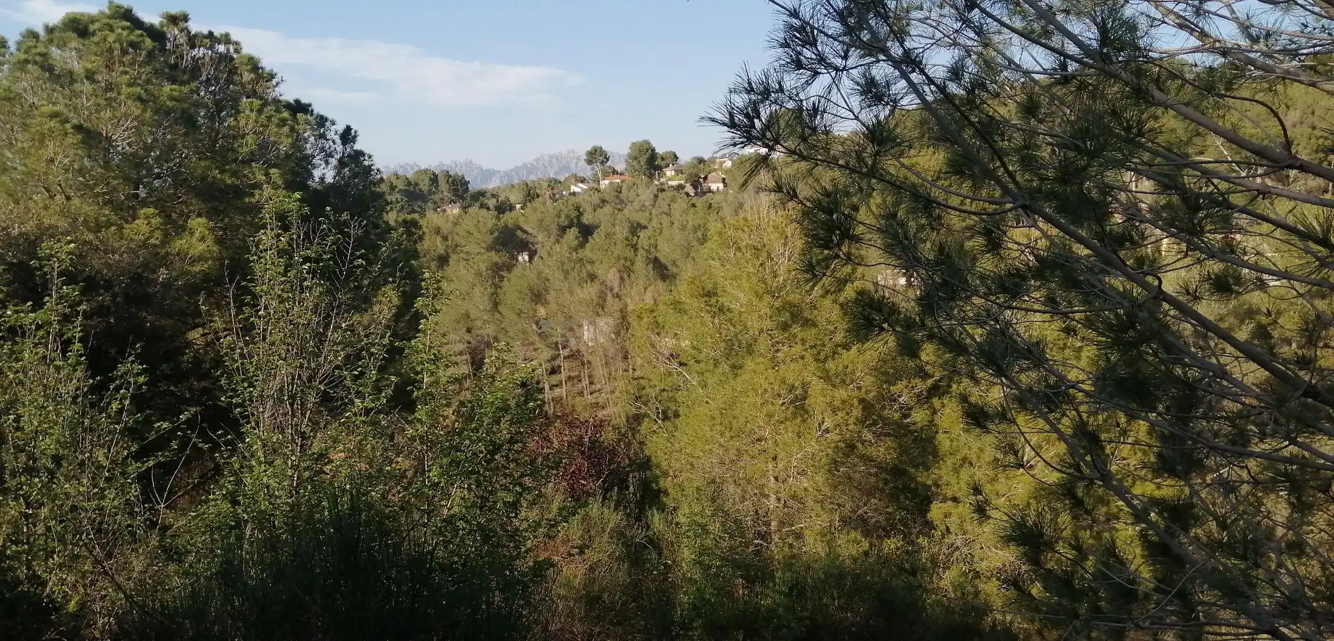 Terreno rustico in vendita a Piera