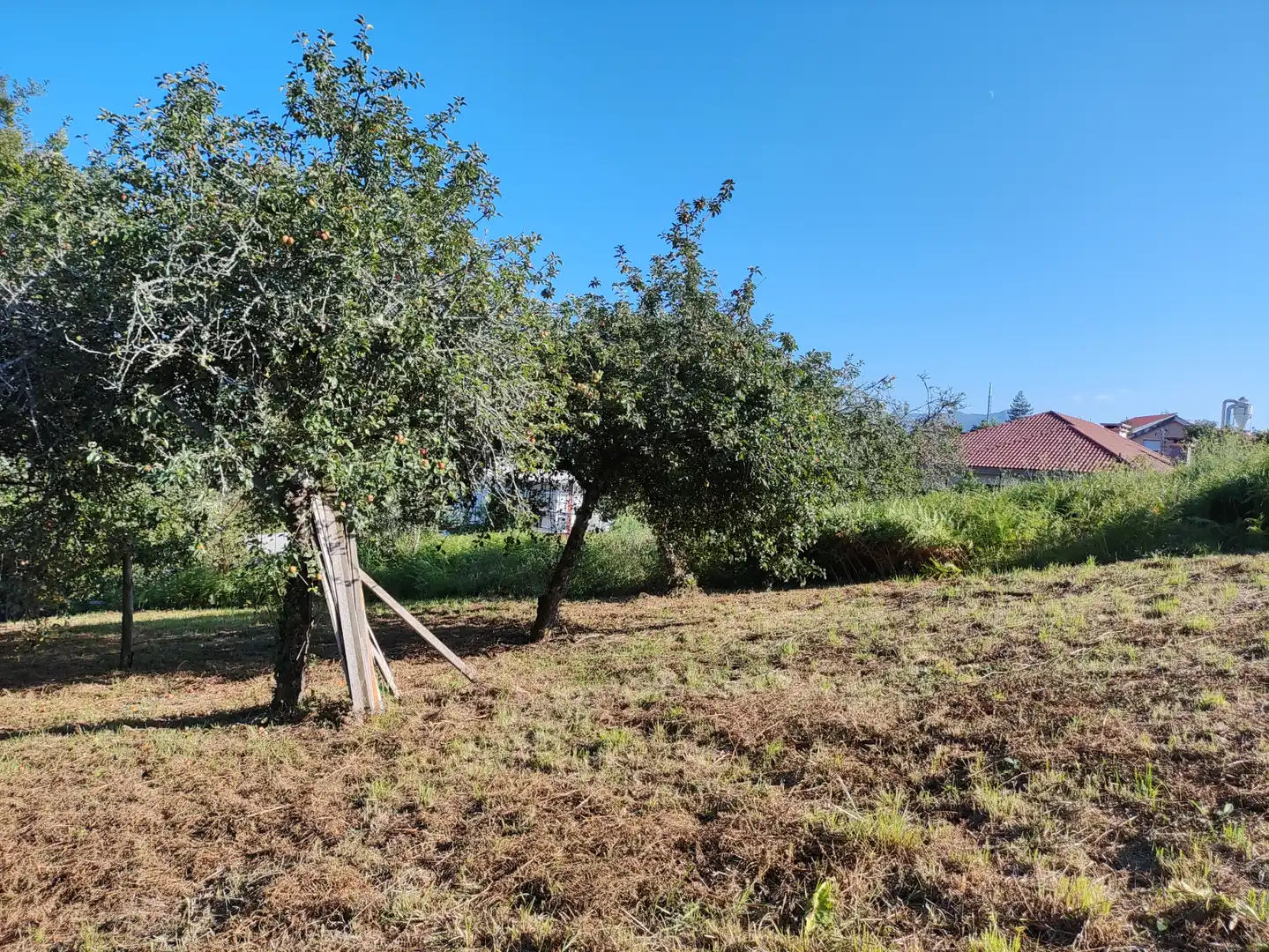 Wohnbaugrundstück zum Verkauf in Camiño Eixon 18, imagen 6