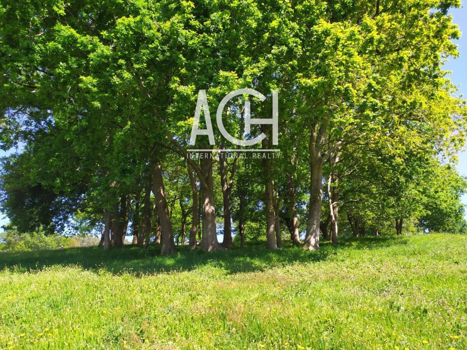 Land for sale in Gatika