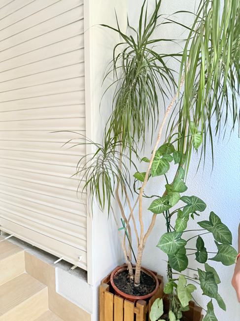 Exterior view of Flat to rent in  Madrid Capital  with Heating
