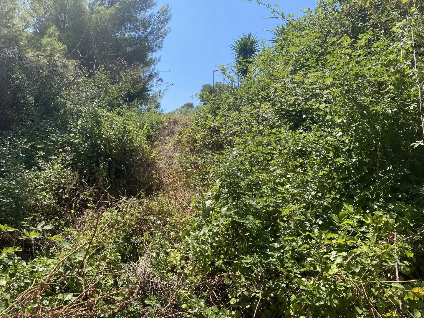 Residential land for sale in Urbanitzacions de Llevant, imagen 24