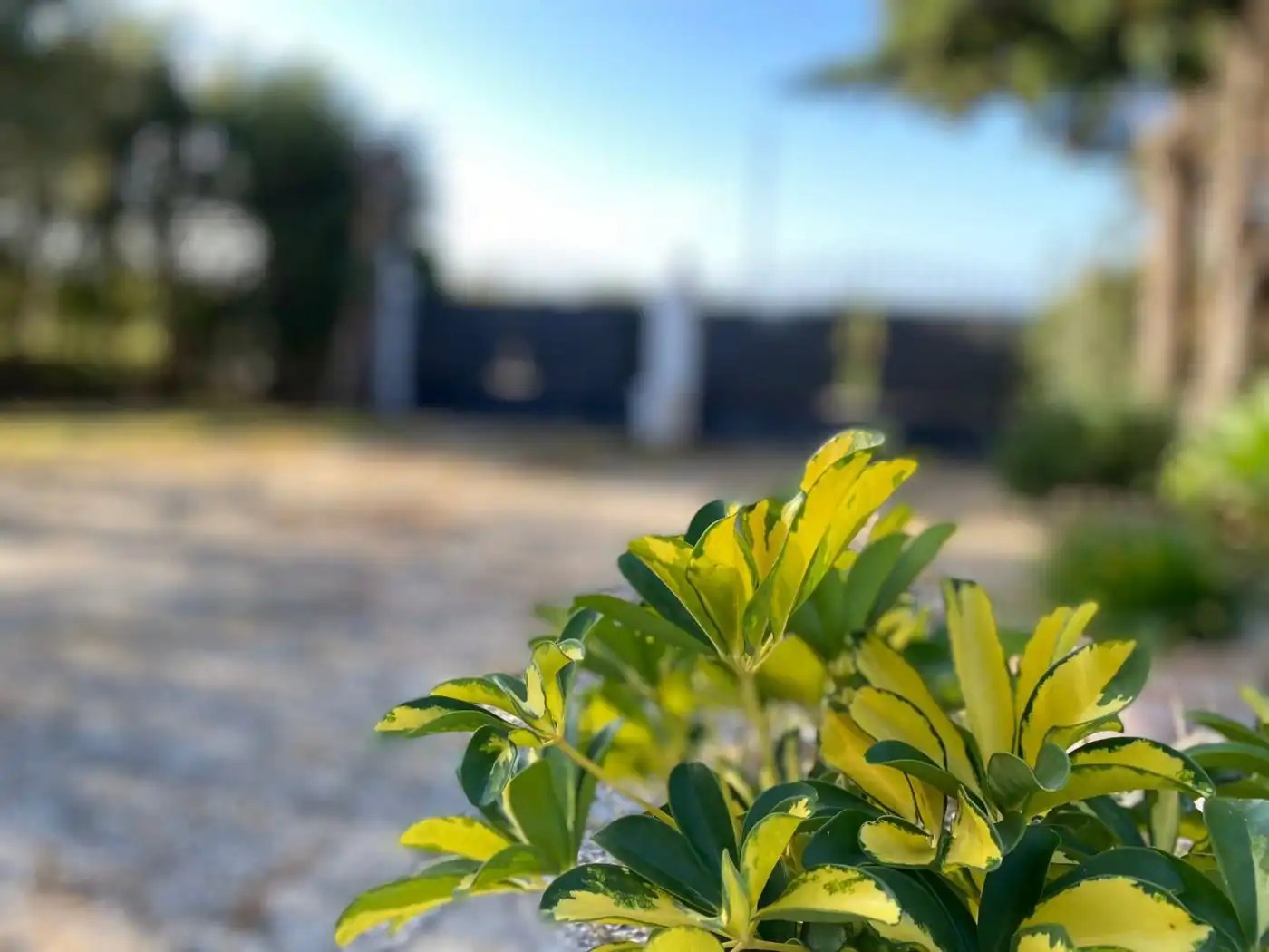 Exterior view of Country homes for sale in Tarifa  with Terrace and Storage room