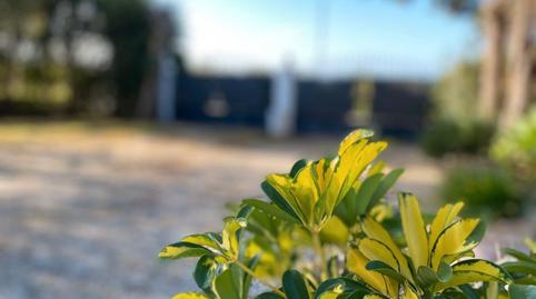 Photo 2 of Country house for sale in Arrabal Sector Valdevaqueros, Tarifa ciudad, Cádiz