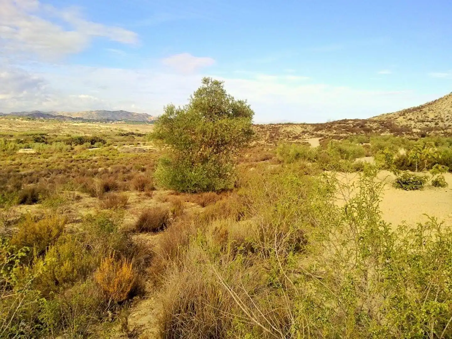 Terreno residenziale in vendita a Campo de Murcia, imagen 8