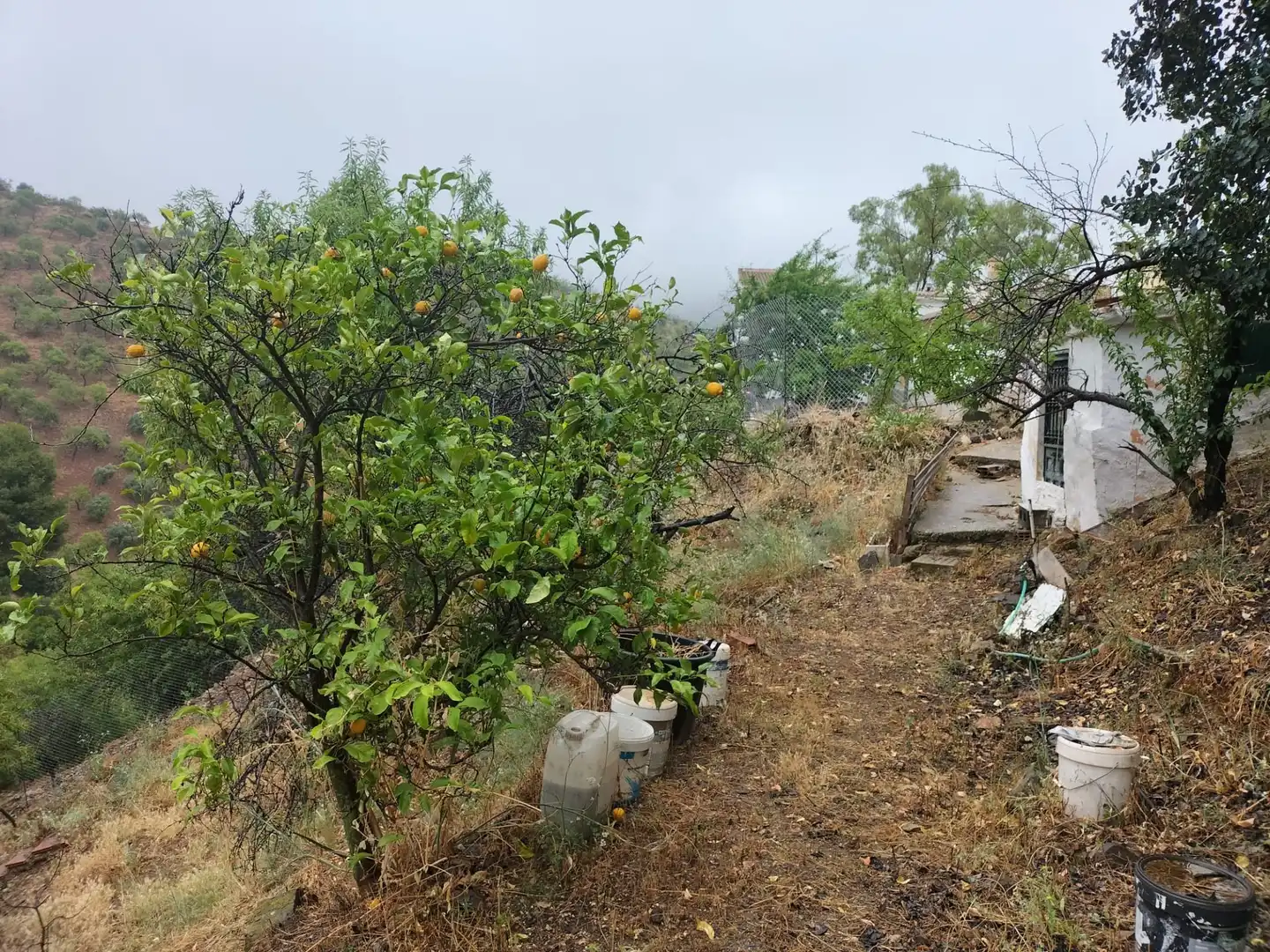 Finca rústica en venta en Málaga