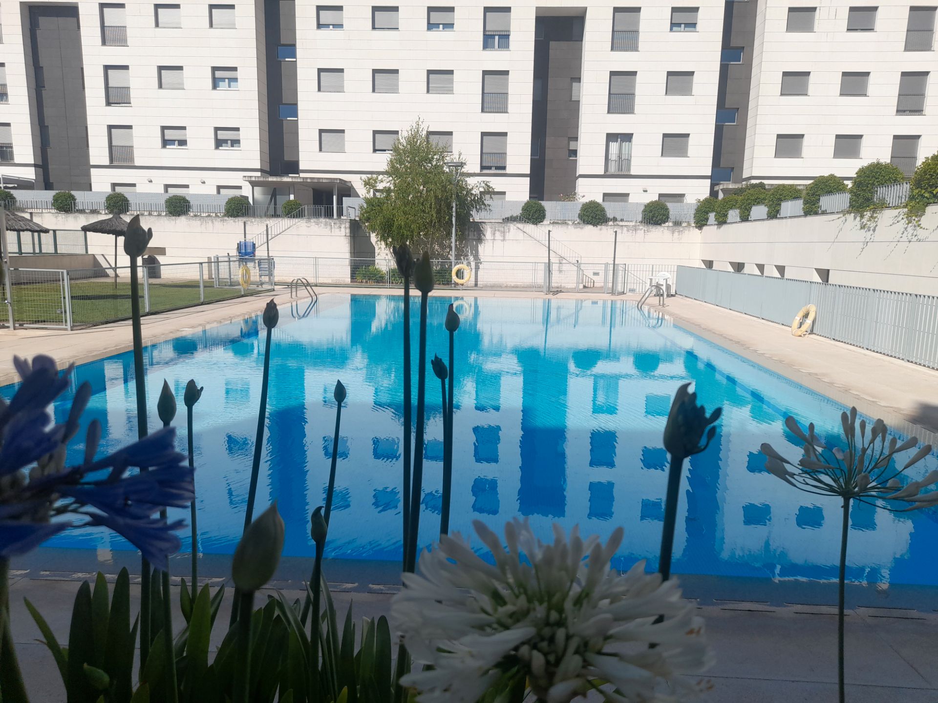 Swimming pool of Attic to rent in Pozuelo de Alarcón  with Air Conditioner, Heating and Parquet flooring