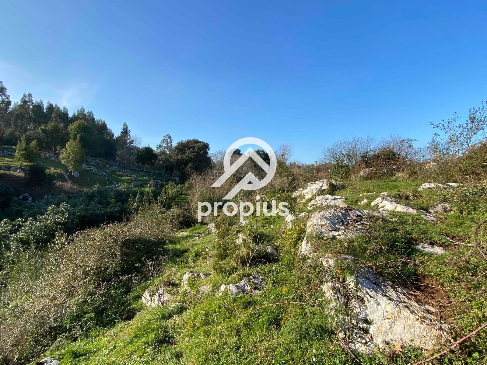 House or chalet for sale in Ribadesella  with Heating, Terrace and Storage room