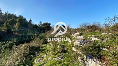 Foto 3 de Casa o xalet en venda a Meluerda, Ribadesella, Asturias