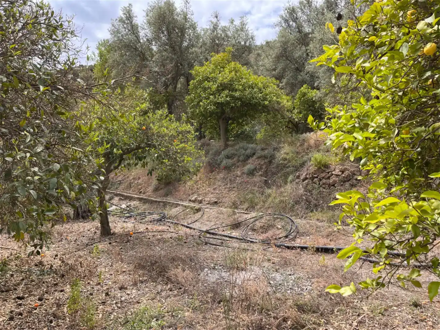 Residencial en venda en El Pinar, Granada