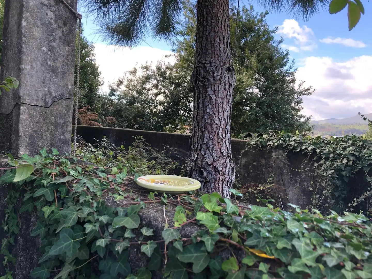 Jardín de Casa o chalet en venta en Caldas de Reis