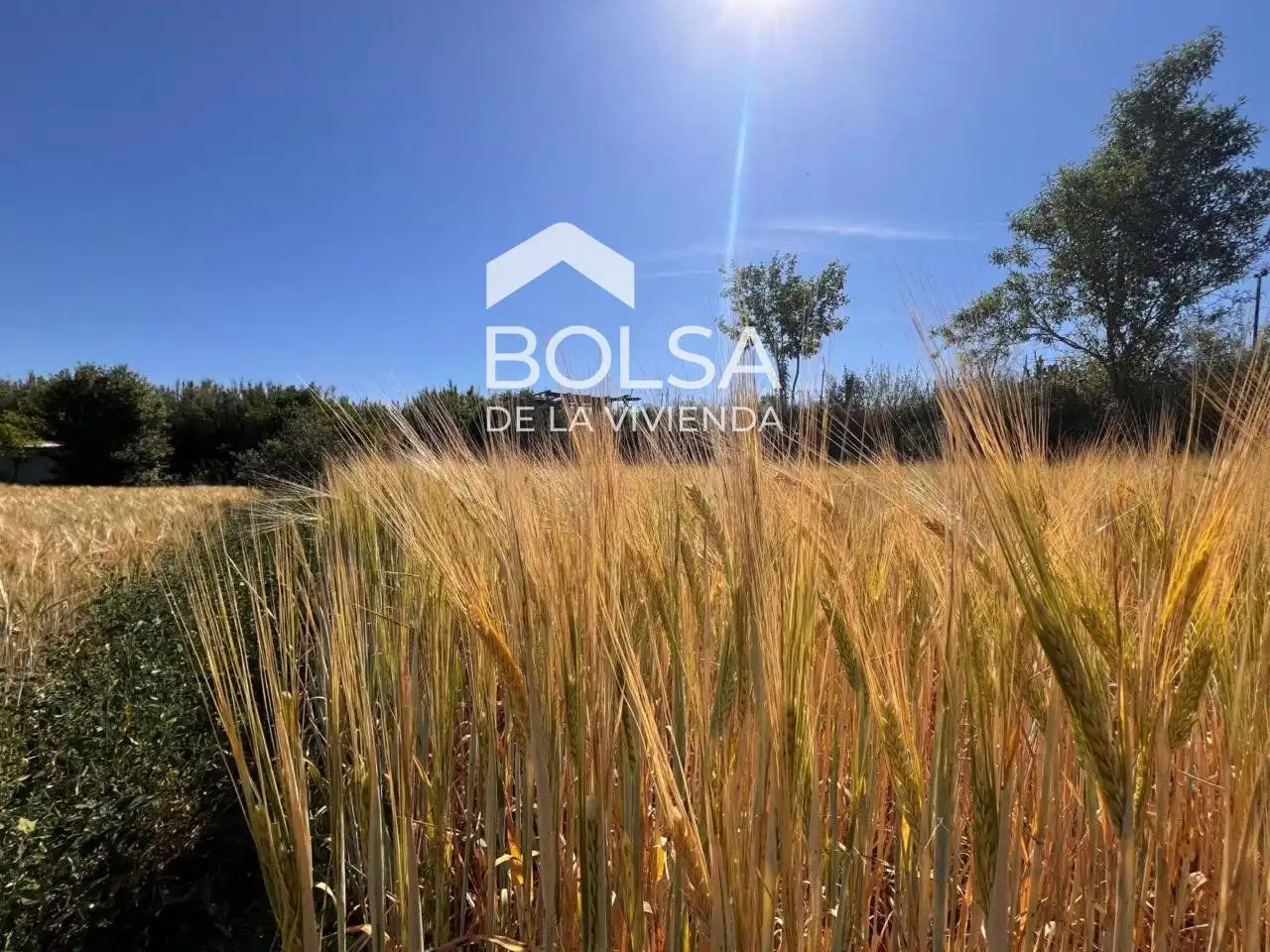 Rural land for sale in Barri Mion - Puigberenguer