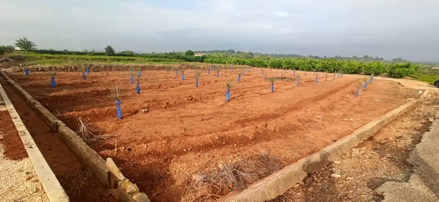 Terreno en venta en Anna