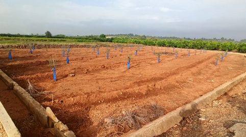 Foto 3 de Terreno en venta en Anna, Valencia