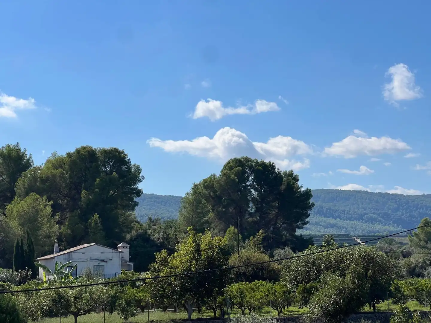 Chalet con piscina en venta en La Font d'en Carròs, imagen 22