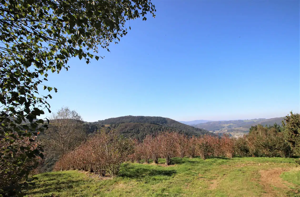 Casa o chalet en venta en A Pontenova   con Jardín privado